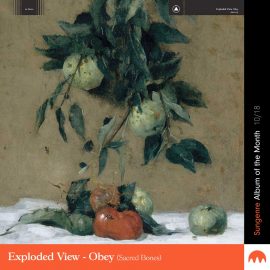 Exploded View - Obey