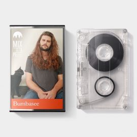 Bumbasee