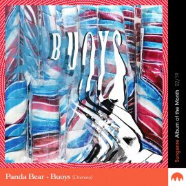 Panda Bear - Buoys