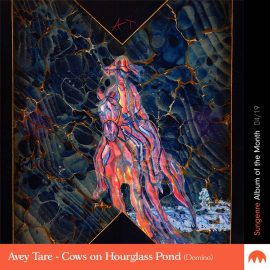 Avey Tare - Cows on Hourglass Pond