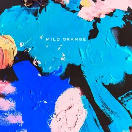 Mild Orange - Mild Orange