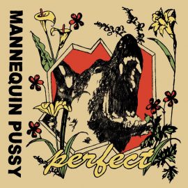 Mannequin Pussy - Perfect